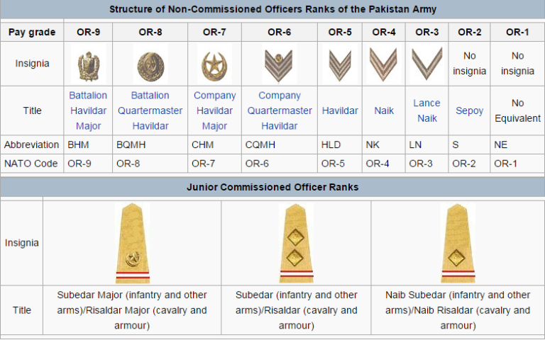Non commissioned Officer. Грамм NCO. Mexican Army Rank Insignia 1911. Воинское звание Пакистан численность.